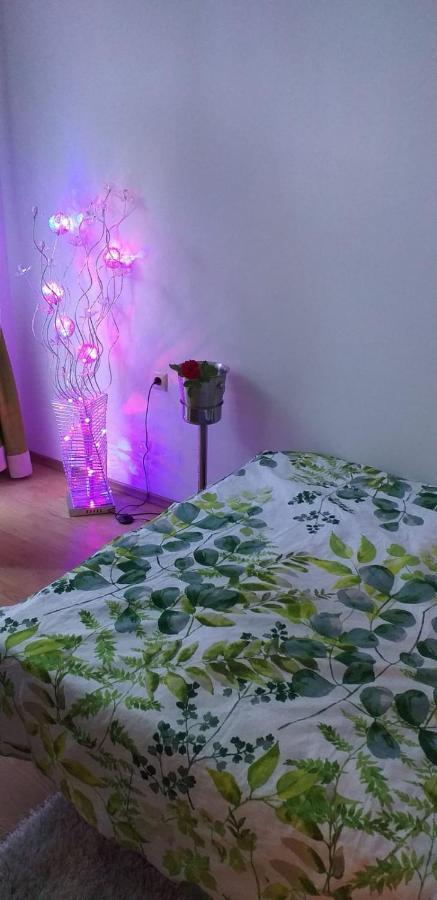 Aphrodite Rose Sunny Beach Esterno foto