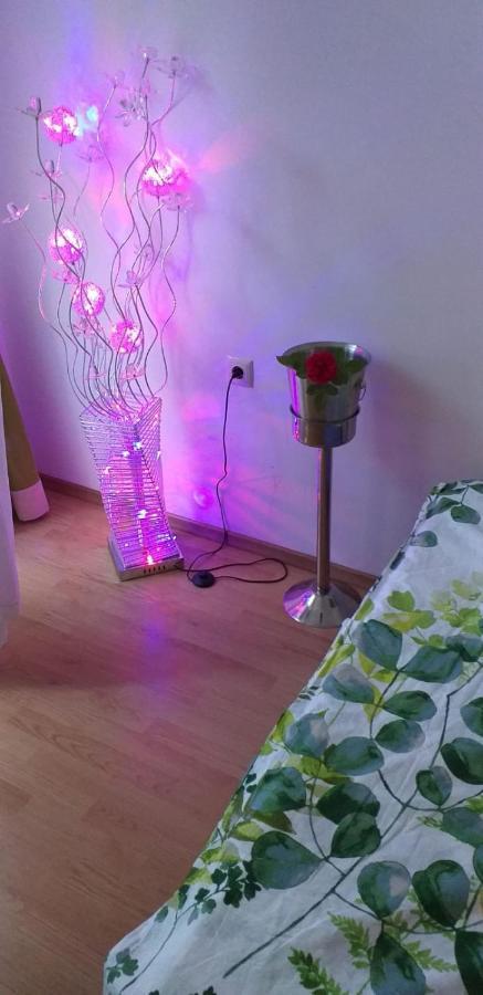Aphrodite Rose Sunny Beach Esterno foto